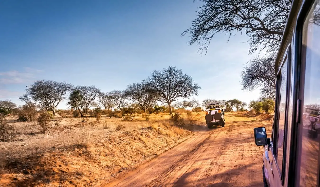 Doğu Afrika'da Safari Nasıl Yapılır?