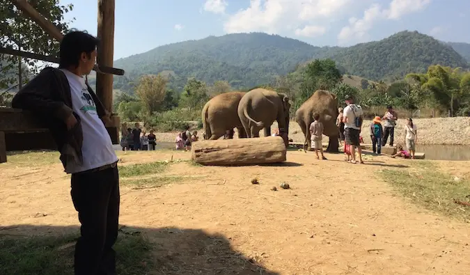 Reizigers in het Elephant Nature Park hebben interactie met de olifanten