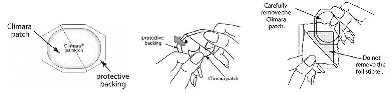 silver foil-sticker attached to the inside of the pouch - Illustration