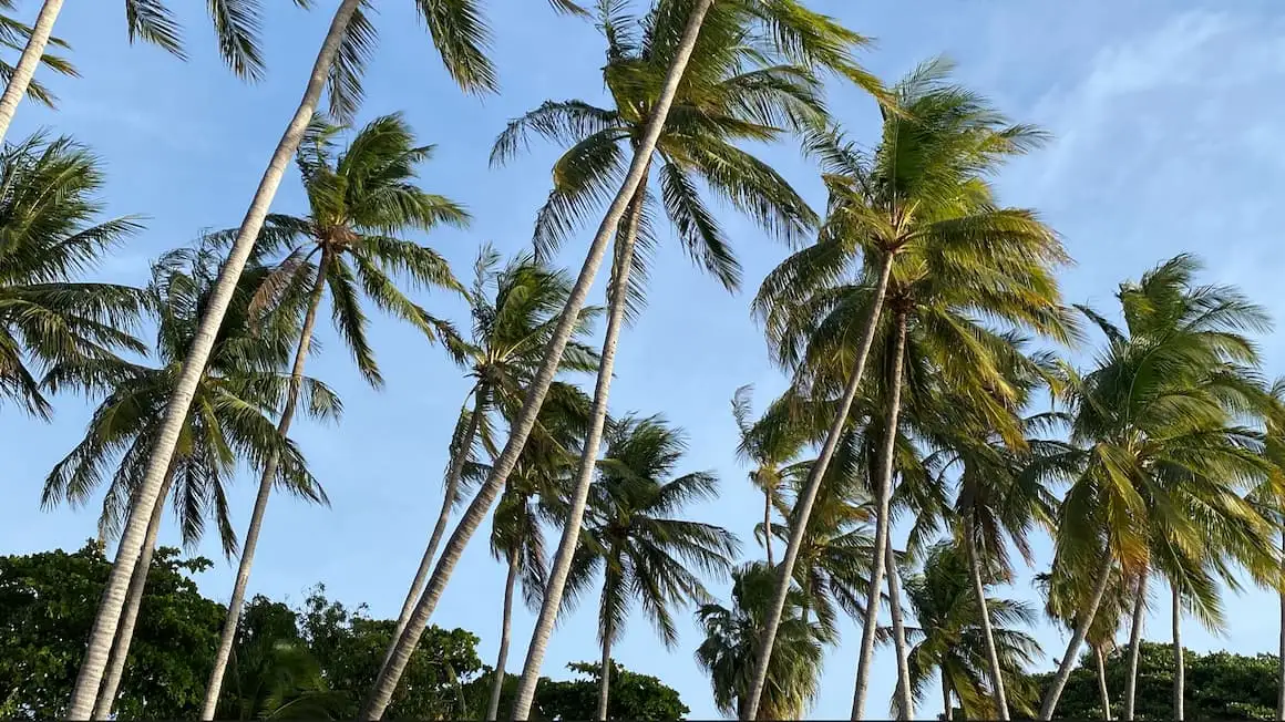 Où séjourner à Anguilla (meilleurs endroits en 2024)