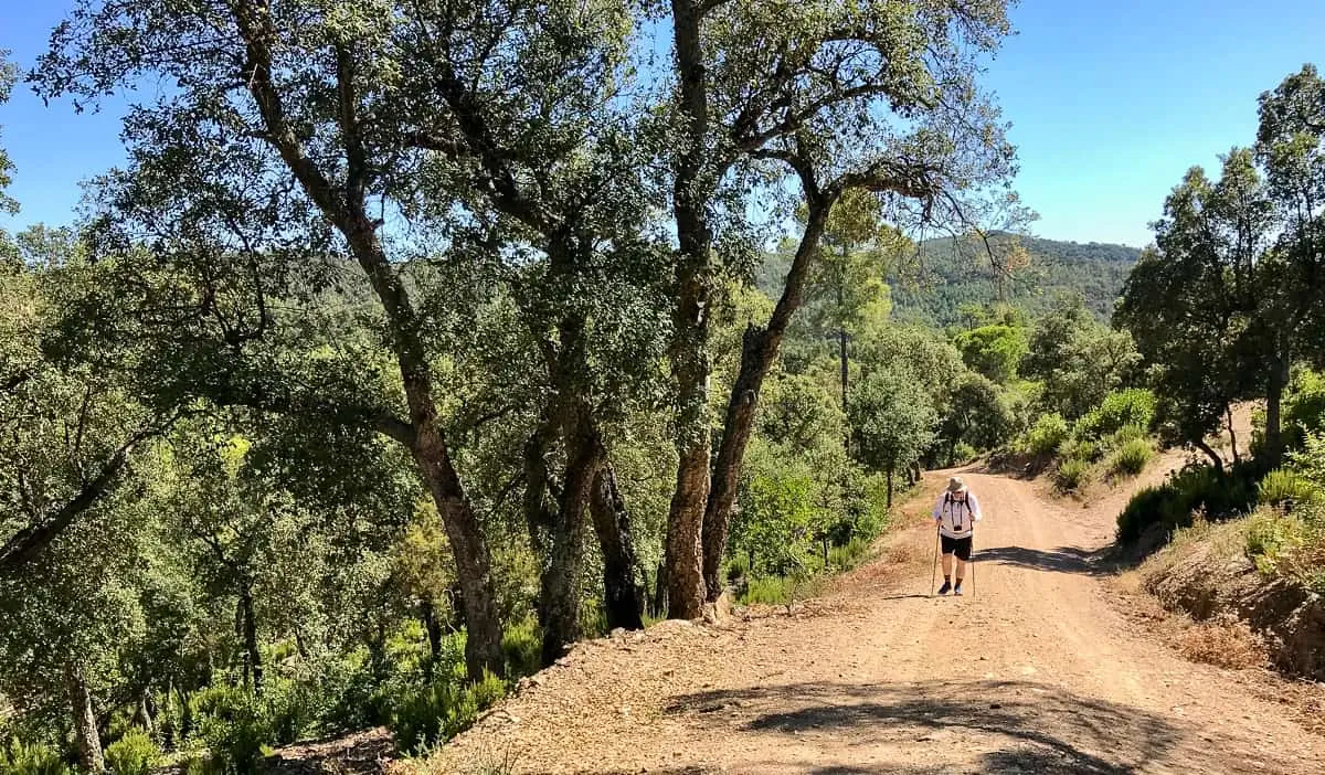 Une personne âgée à la retraite en randonnée sur un chemin de terre