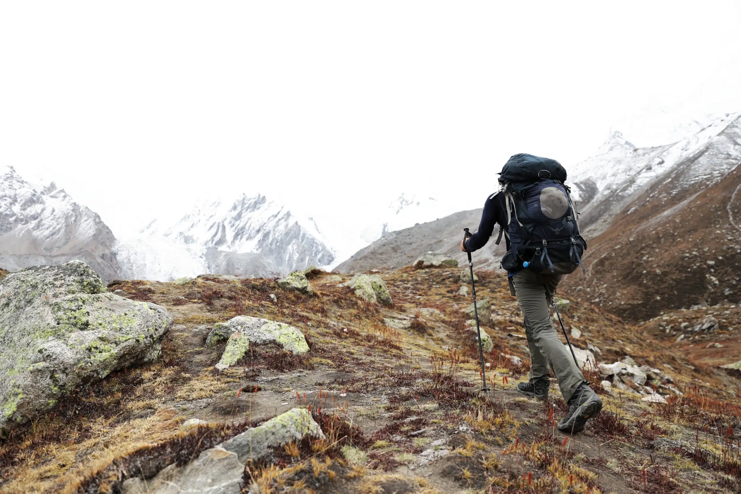 sorte diamant trekkingstave