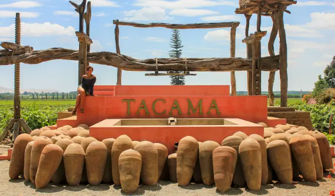 ایک روشن دھوپ والے دن Tacama میں ہیدر