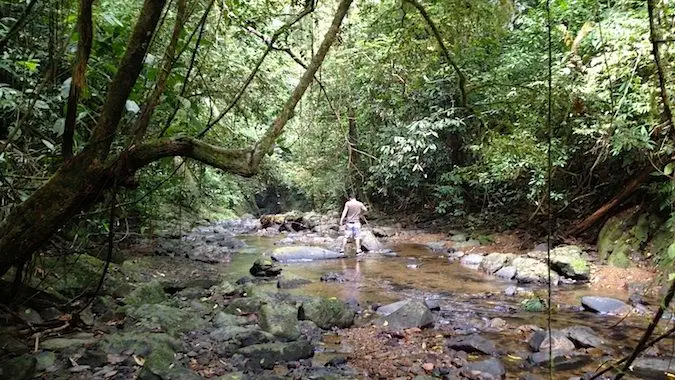 Randonnée dans le lit de la rivière à Khao Sok