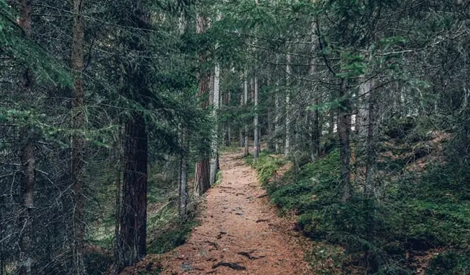un sentier de randonnée verdoyant et boisé en Autriche
