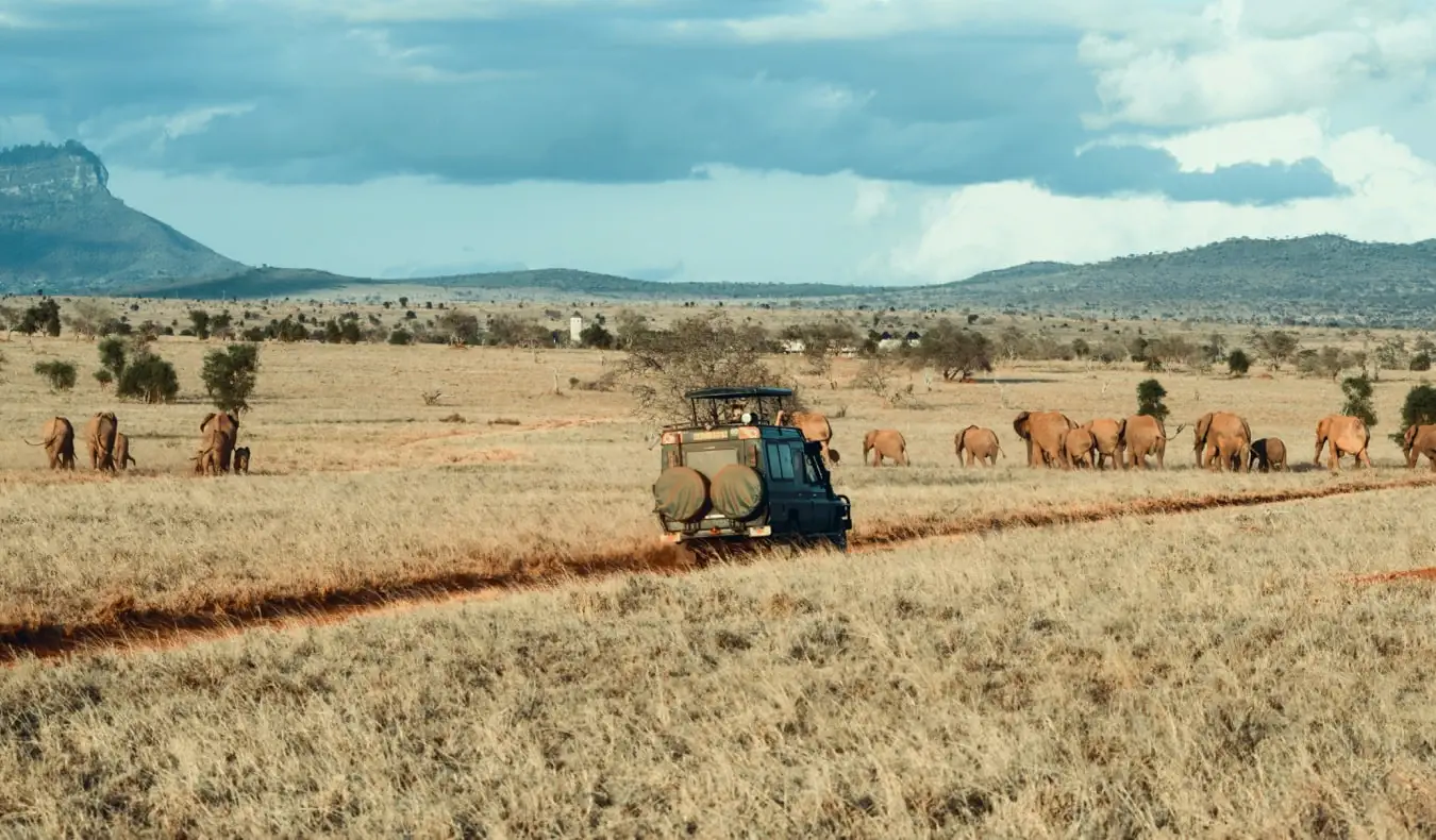 Un groupe de voyageurs dans une jeep en safari avec un guide touristique