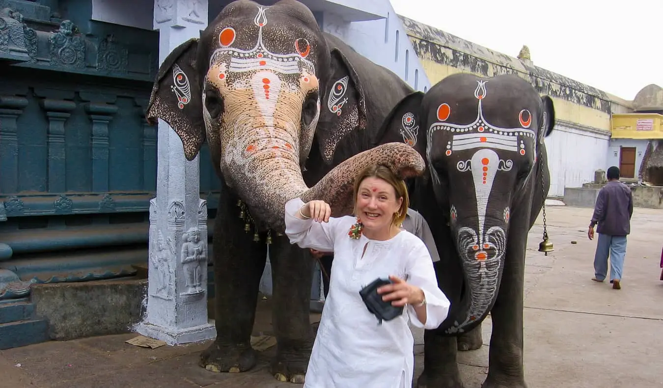 Uma mulher sozinha na Índia perto de dois elefantes pintados