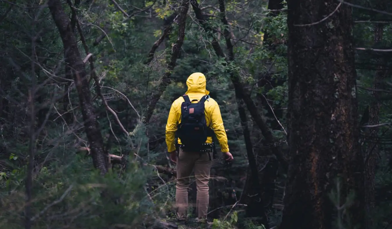 Homme en randonnée dans une forêt