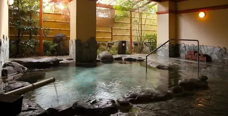 ஜப்பானில் onsen