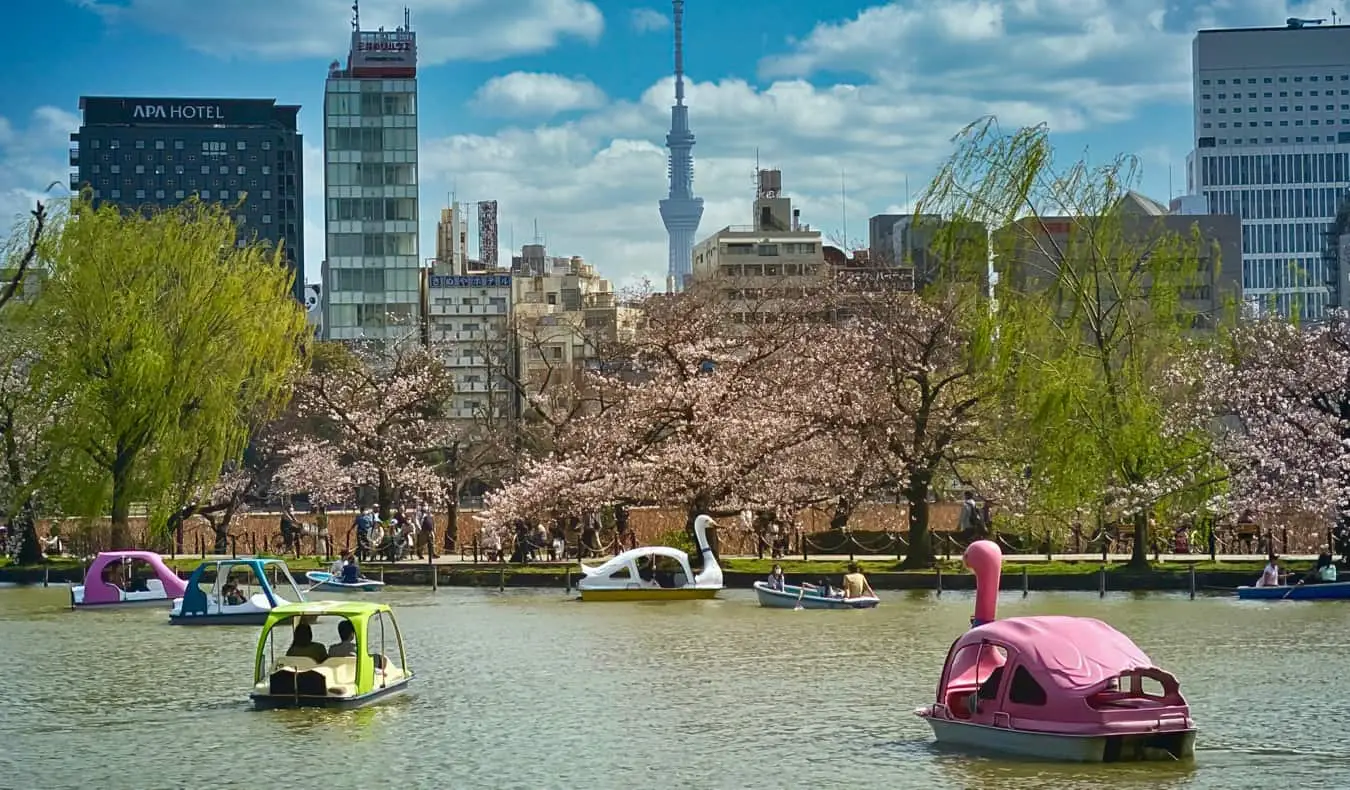 Les gens sur le lac s'amusent dans le parc Ueno à Tokyo, Japon