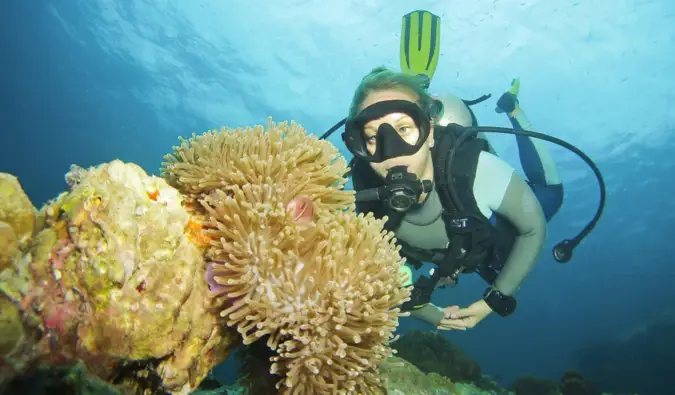 Alex em Wanderland mergulhando nas águas perto de Koh Tao, Tailândia