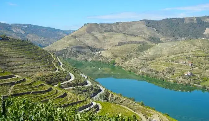 vignobles de la vallée du Douro au Portugal
