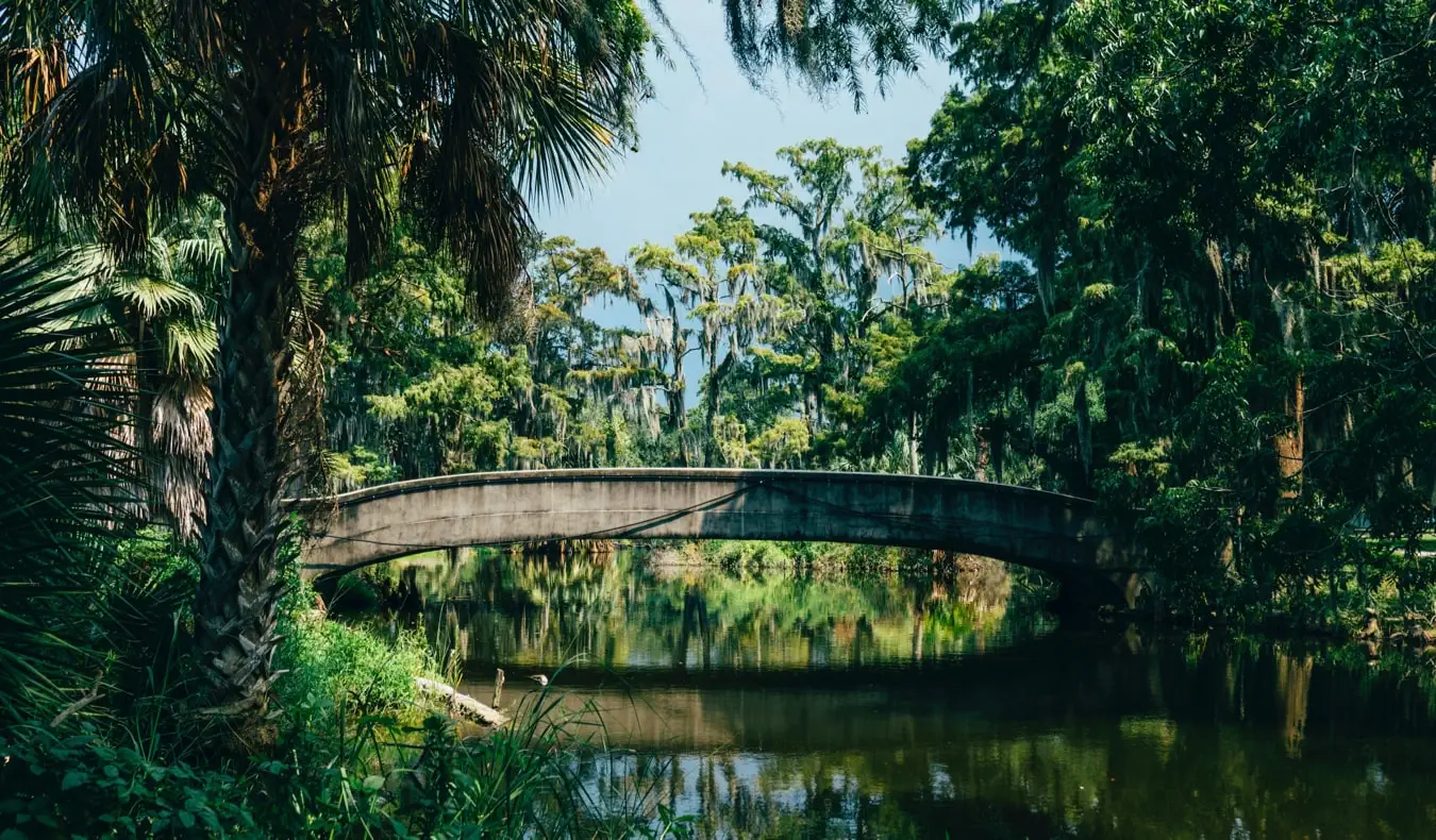 Le feuillage luxuriant du parc municipal de la Nouvelle-Orléans, aux États-Unis