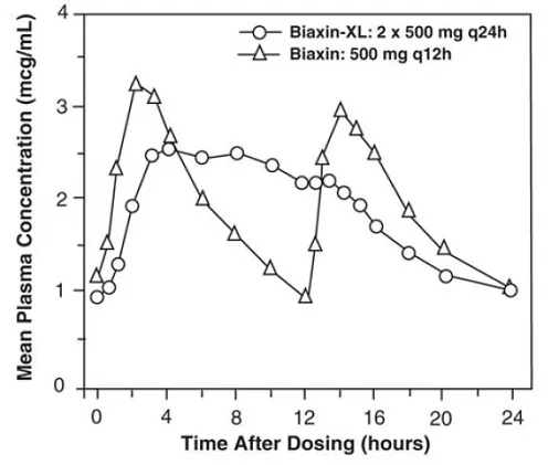Steady-State Clarithromycin Plasma Concentration-Time Profiles - Illustration