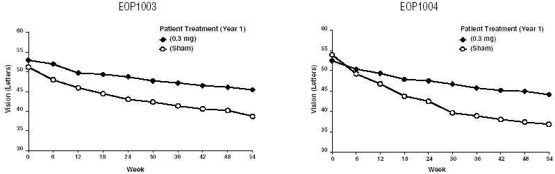 Mean Visual Acuity: Year 1 - Illustration