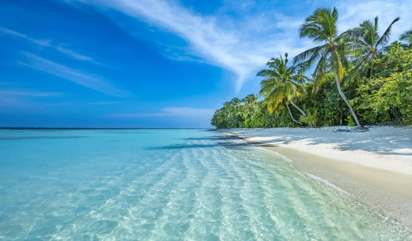 Une plage de sable blanc bordée de palmiers aux Maldives