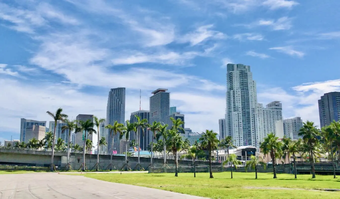 Gratacels alts que omplen la vista al centre de Miami, amb un parc i palmeres en primer pla