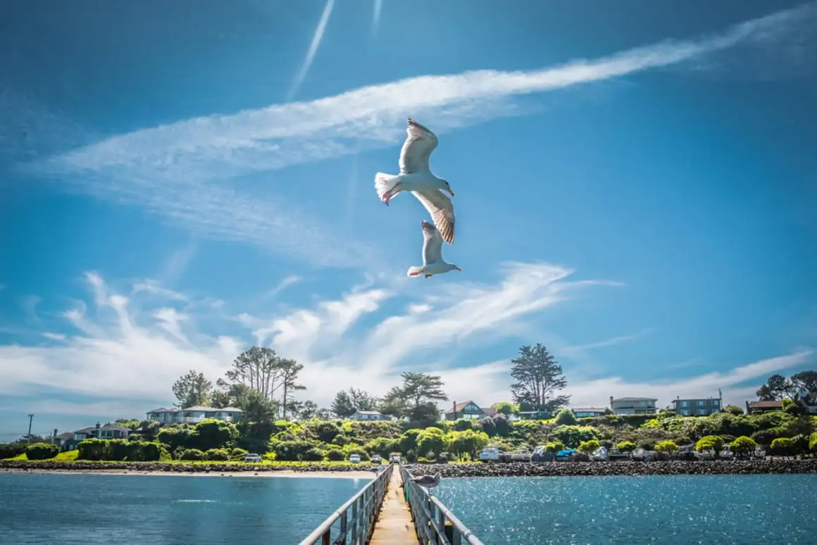 Highlands Resort, Bodega Bay