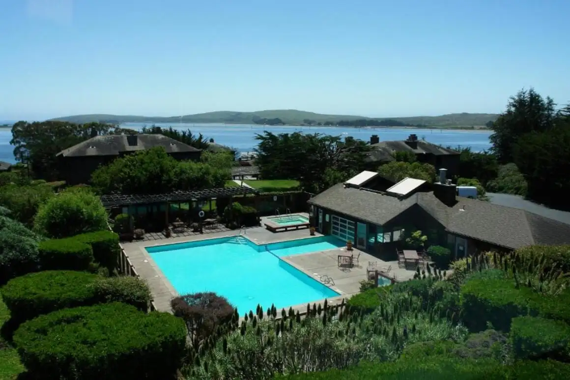 Čajky lietajúce nad jasnou modrou oblohou cez prístav Bodega Bay Čo vidieť a robiť v meste Bodega Bay