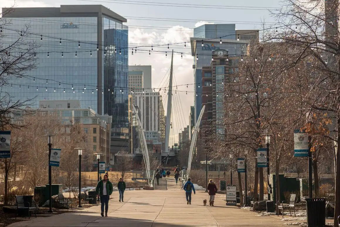 Lama de Denver Colorado