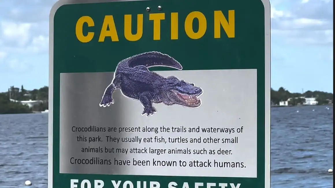 предупреждающий знак, чтобы следить за крокодилами в вечнозеленых полянах Флориды, США.