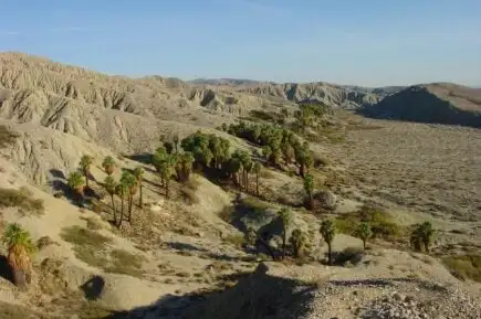 Palm Springs - la mesa