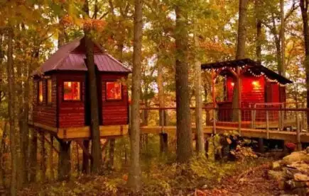 5 ЕПІЧНИХ будинків на деревах у Бренсоні [2024]