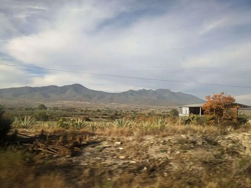 Oaxaca có an toàn cho du lịch không? (Lời khuyên về an toàn cho năm 2024)