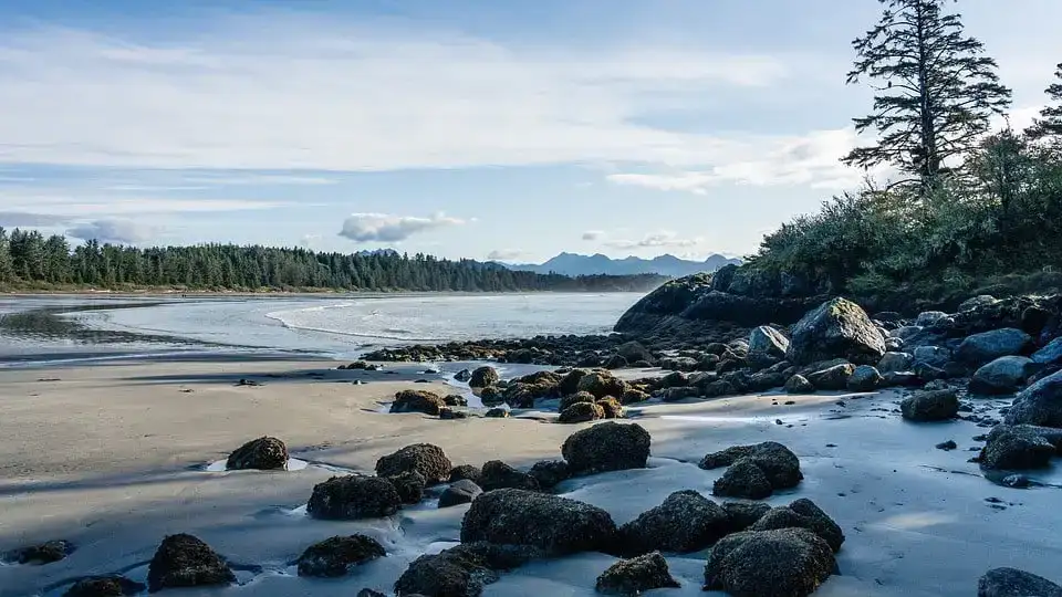 7 Hostel LUAR BIASA Di Tofino | panduan 2024!