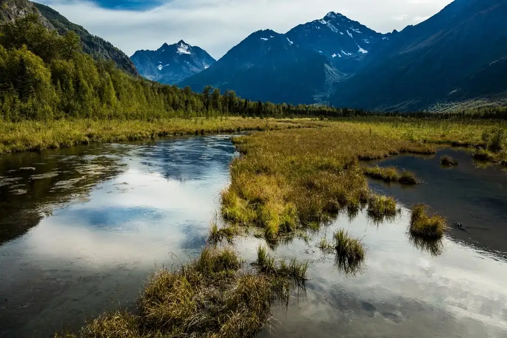 7 nhà trọ TUYỆT VỜI NHẤT ở Anchorage (2024 • Hướng dẫn nội bộ!)