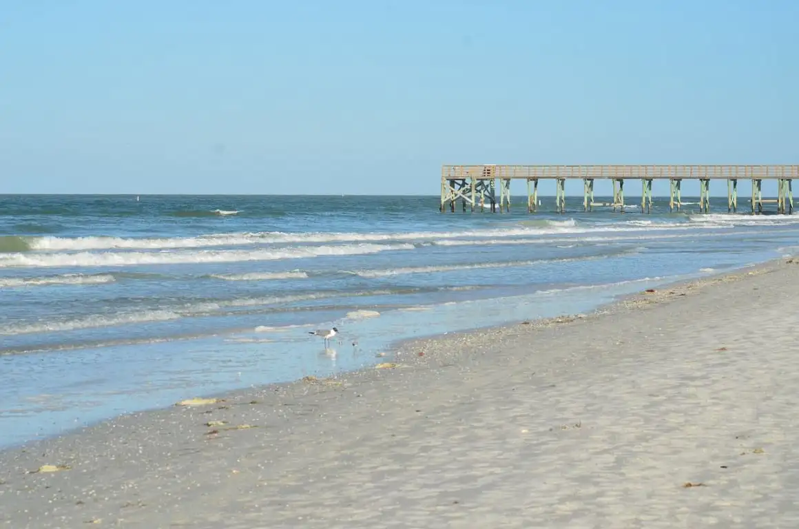 Plage de Madère, Saint-Pétersbourg FL 2