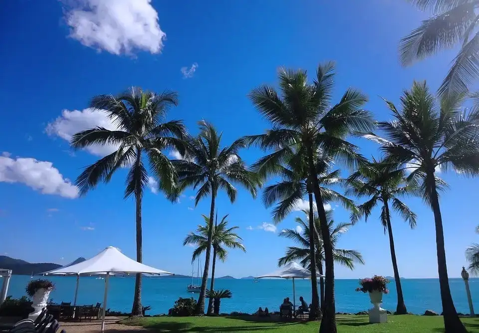 I 10 ostelli PIÙ COOL di Airlie Beach (2024 • Guida privilegiata!)