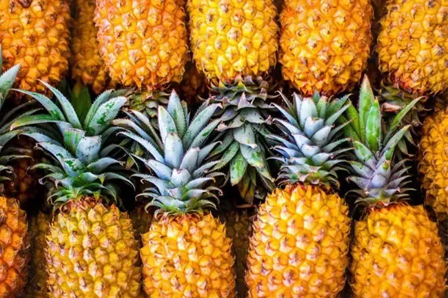 Dieta e nutrizione: benefici per la salute dell'ananas
