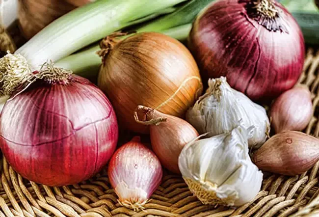 Salute da uomo: modi naturali per aumentare il testosterone