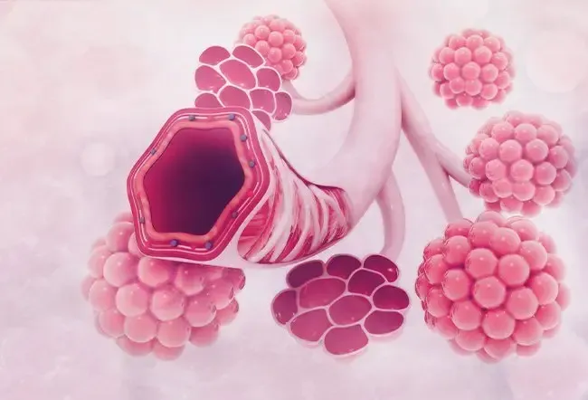 Ацетилцистеин