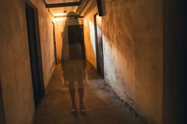 Søvnforstyrrelser: Årsager til mareridt