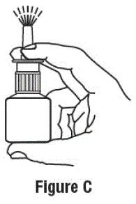 Priminpg the pum - Illustration