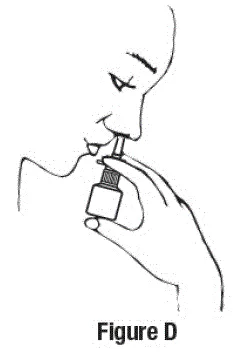 Place the spray tip about ¼ inch to ½ inch into 1 nostril - Illustration