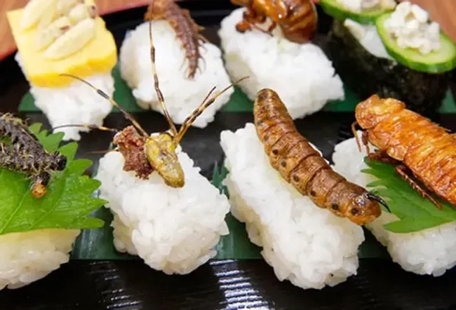 Nahrung und Ernährung: Käfer, die Sie essen können