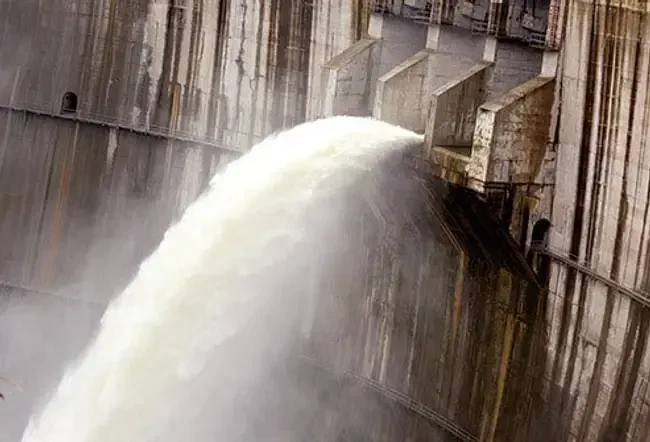 Your kidneys have to work hard to process all that extra sugar in your blood.