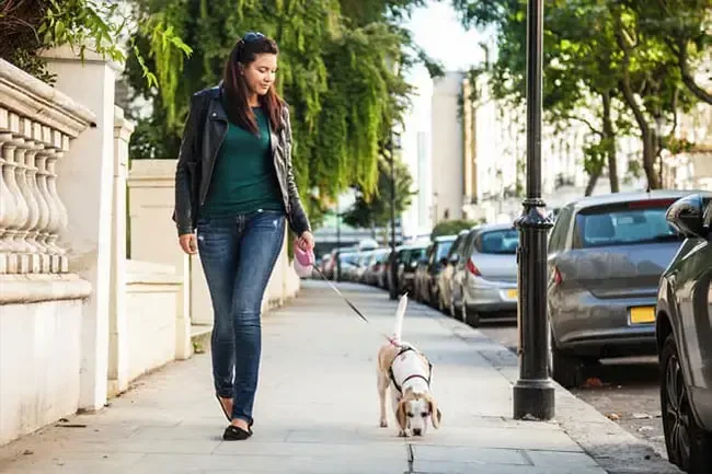 13 modi per battere il crollo pomeridiano