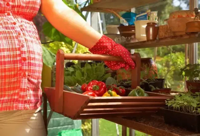 Live a nontoxic lifestyle to give yourself a healthy start to your pregnancy.