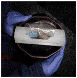 Support bag in centrifuge bucket insert to prevent the formation of creases during centrifugation - Illustration