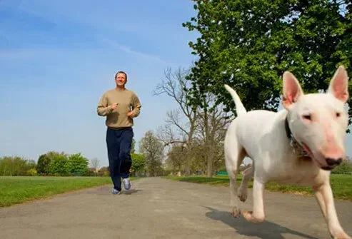 AMLODIPINE/ATORVASTATIN - ORAL