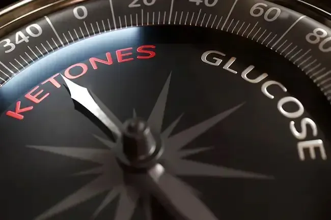 Dieta a výživa: Co se stane, když přestanete jíst sacharidy