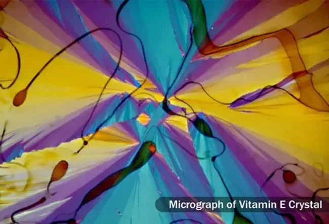 Витамин Е: Какво трябва да знаете