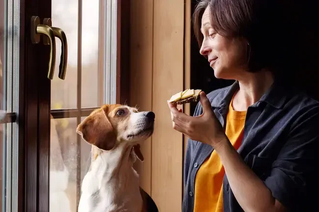 Brustkrebs: 9 Überraschende Vorteile des Tierbesitzes bei Brustkrebs