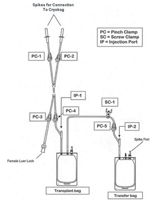 Trans plant Processing Two-Bag Set - Illustration