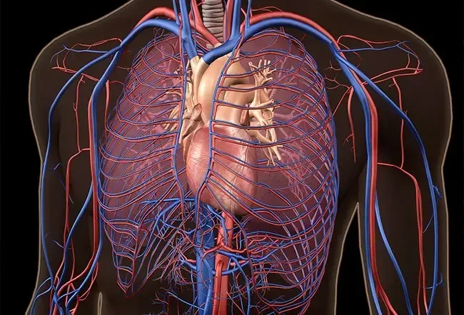 Farmaci di alta pressione sanguigna (ipertensione)