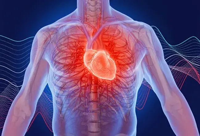 Heart palpitations are common and often do not have a serious underlying cause. 